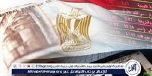 خبير اقتصادي: الرخصة الذهبية يجب ألا تكون خاصة بكبار المستثمرين فقط - اتش دي كورة